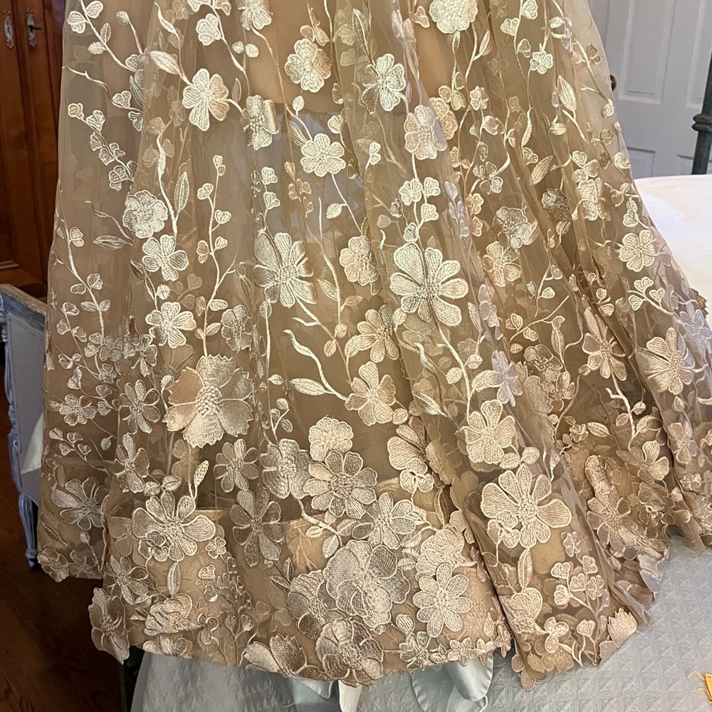 Bronx and Banco Gold Floral Appliqué A-Line Gown Jasmine gold long - Picture 12 of 15